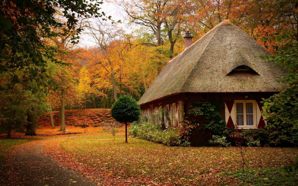 cabins-forest-autumn-house-landscape-192