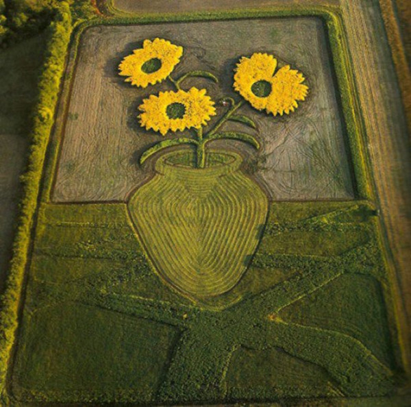 land-crop-art-by-stan-herd-3%5B1%5D.jpg