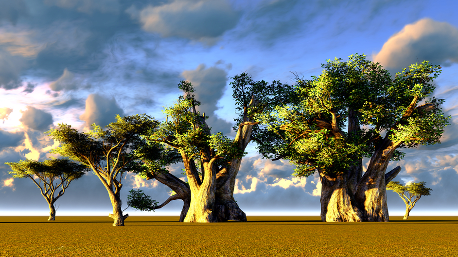 baobab_trees.jpg