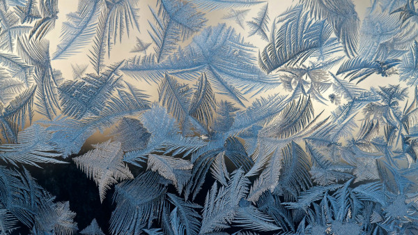 Winter_Frost_draws_patterns_on_glass_095