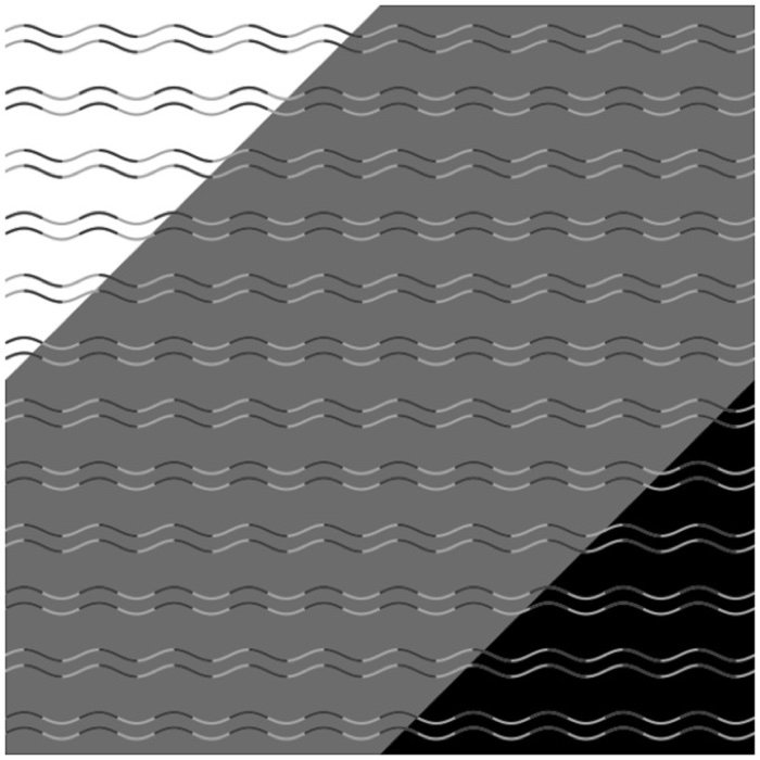 178-curvature-blindness-illusion-1.jpg