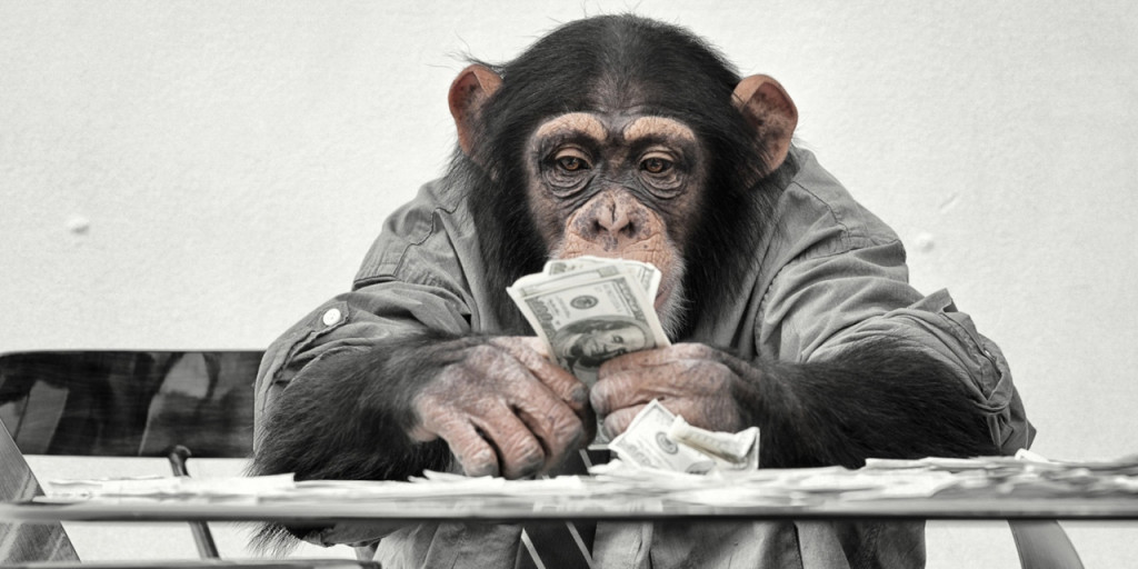 Что будет, если дать обезьяне деньги?