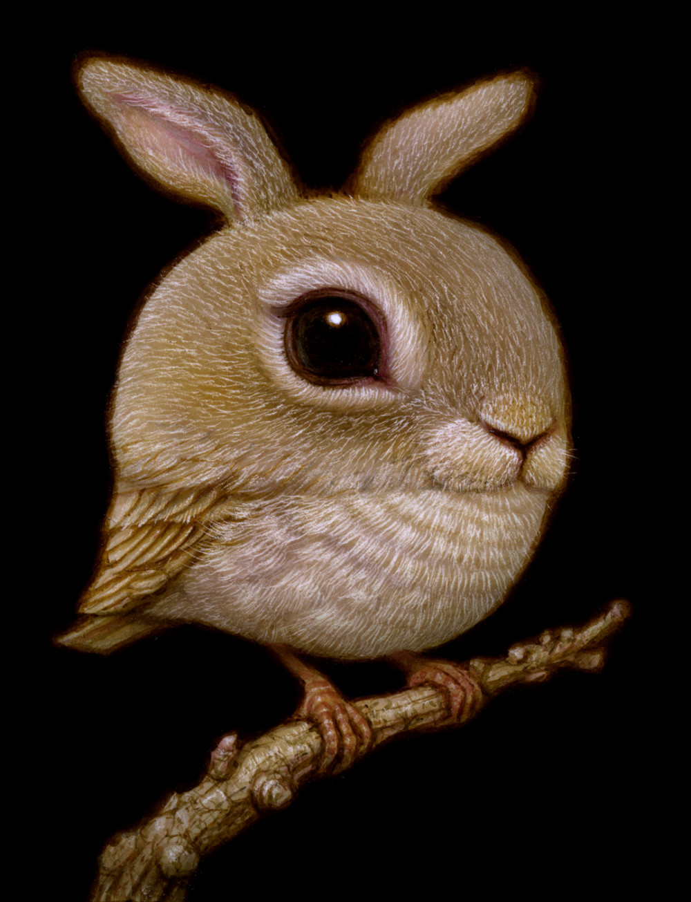 rabbit_bird_03.jpg