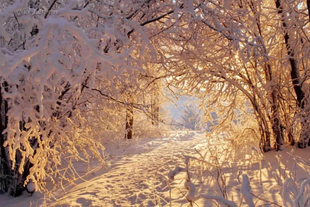 Beautiful-winter-photos-11-1024x682.jpg