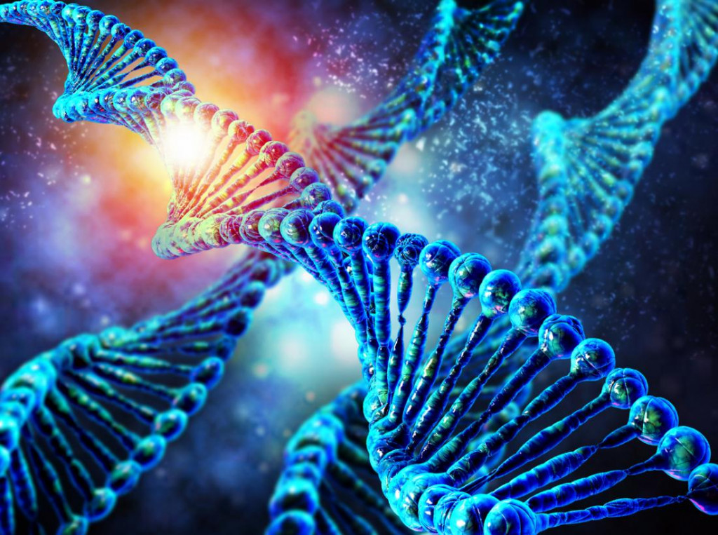 Мифы о генах, которые опровергли учёные