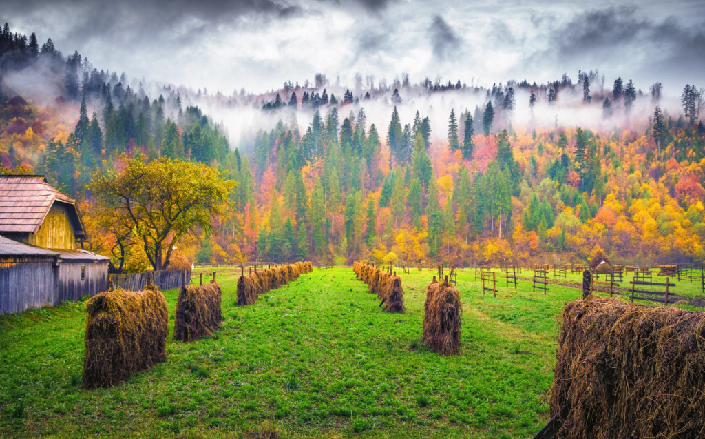 Потрясающая осень в горах Румынии. Фотоподборка для вдохновения.