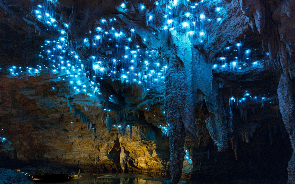 the-waitomo-glowworm-caves.jpg