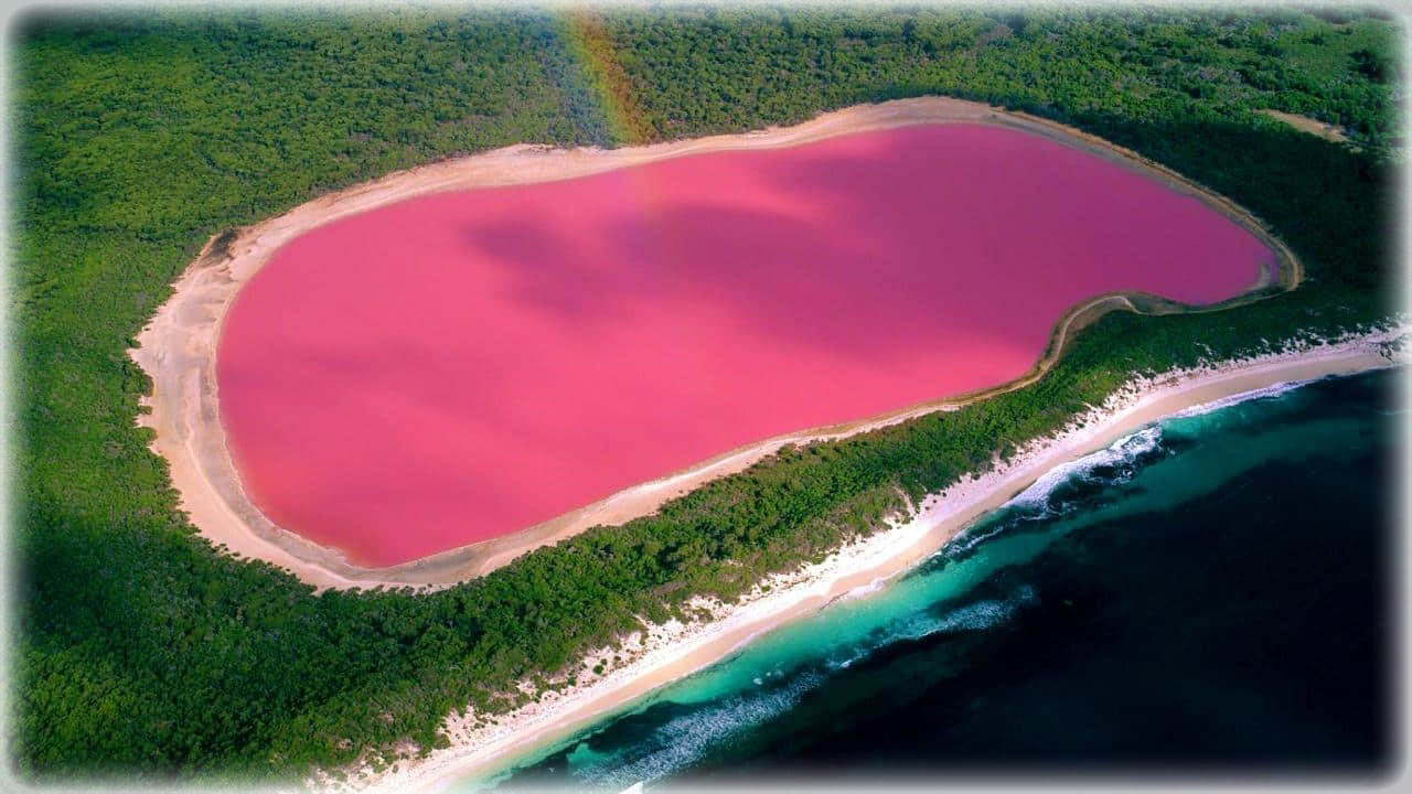 Загадка озера Хиллиер. Как в Австралии появился водоём с розовой водой?