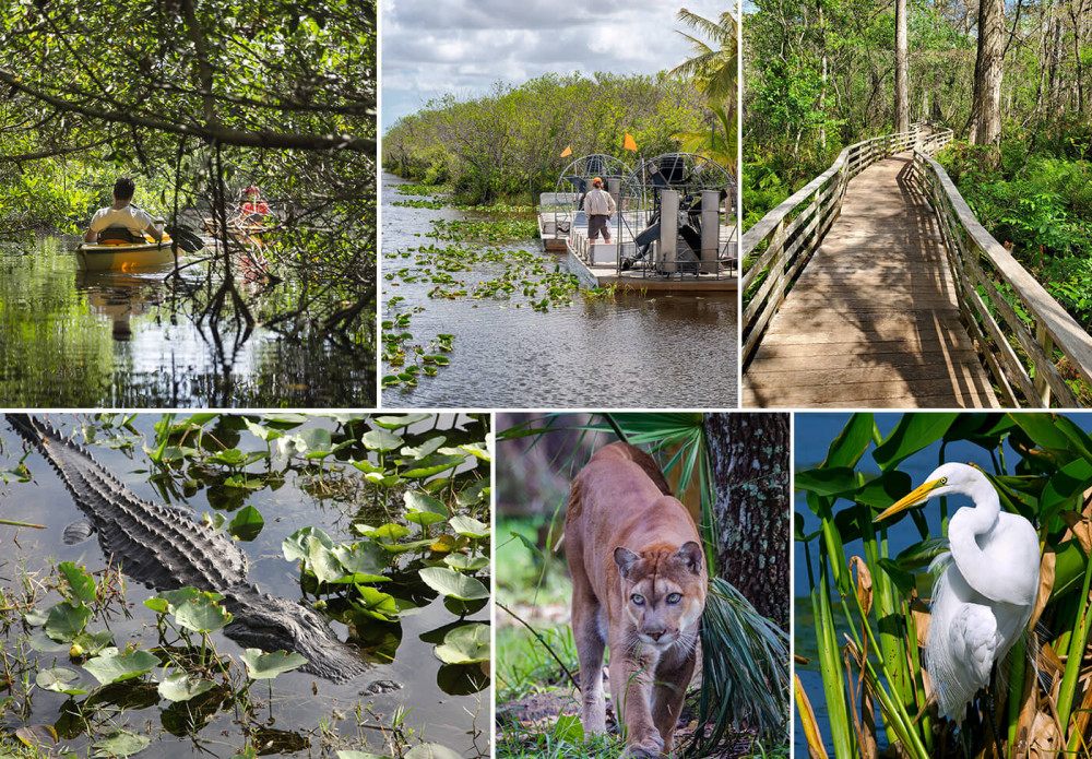 Parco-Nazionale-Everglades-Florida-3.jpg