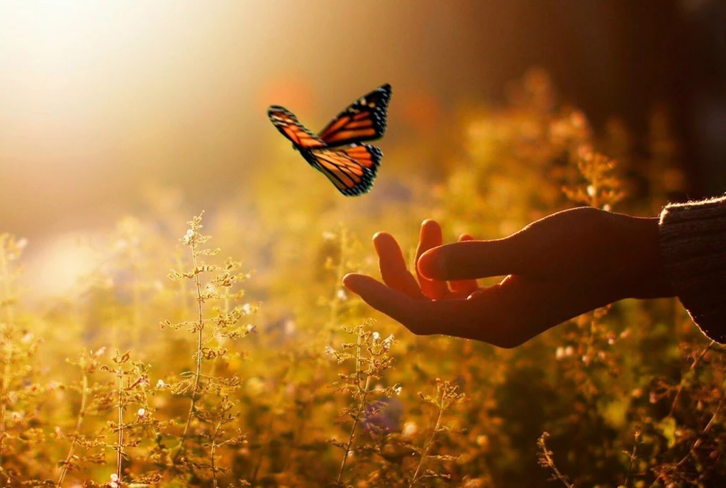 25 определений счастья