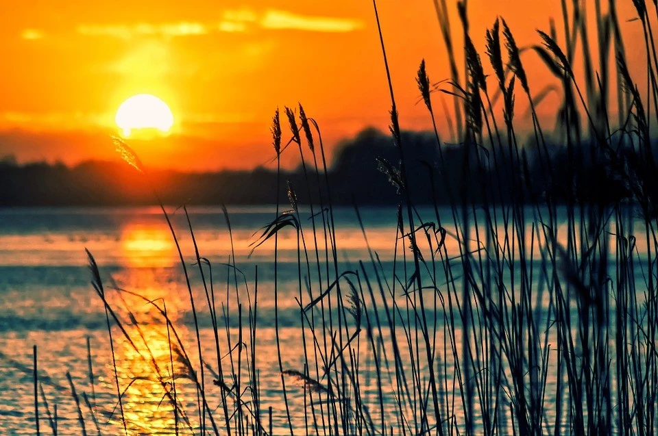 Магия любви и природы: пронзительные стихи Федора Тютчева о вечном и прекрасном